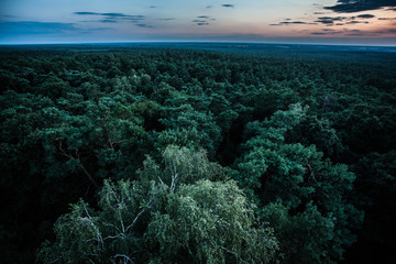 las © fotokutkowska