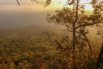 Obraz premium Tourism in the wild at Phu Kradueng, Thailand.