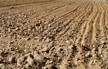 sol de terre sèche labouré