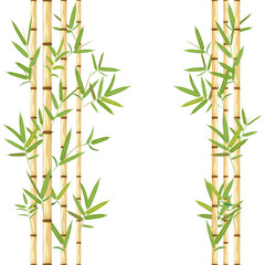 Stalks of bamboo