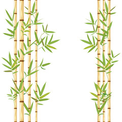 Fototapeta na wymiar Stalks of bamboo