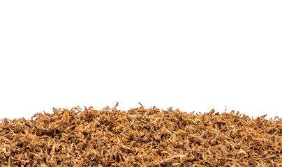 Border from pile of cut tobacco isolated on white.
