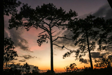 Tourism in the wild at Phu Kradueng, Thailand.