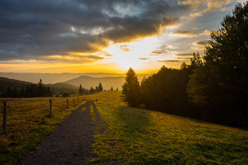 Germany, Hiking trail along black forest nature landscape in early morning dawning light