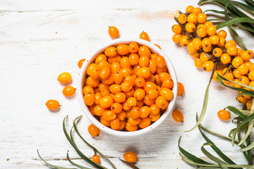 Sea buckthorn berries with leaves