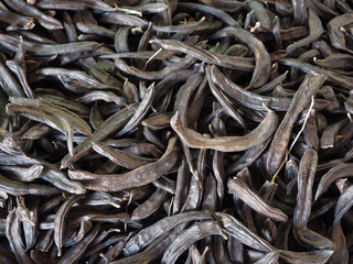 A pile of dried carob pots.  Overhead shot.