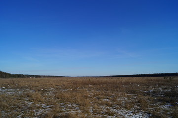 Bright blue sky over the field with withered grass in late autumn on a Sunny day