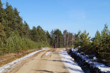 Country road with deep ditches along the beautiful forest in late autumn on a Sunny day