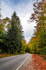 Bastei - Landstra&szlig;e im Herbst