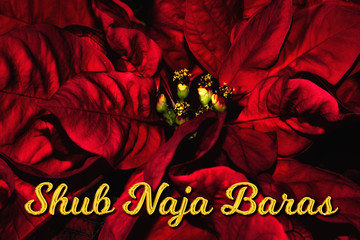 The Hindi text "Shub Naja Baras" means "Merry Christmas", which is in front of a red poinsettia. The perfect holiday season greetings card.
