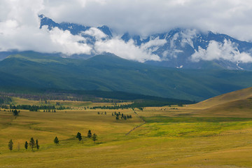 Scenic view of the snow-covered North-Chuya range in the Altai mountains in the summer, Siberia, Russia