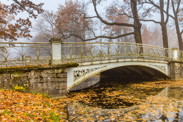 Bridge over the river. Alexander Park. St. Petersburg, Russia