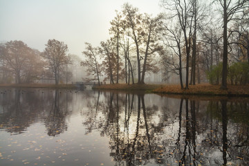 Naklejka na ściany i meble Autumn Pond in Alexander Park, Pushkin, St. Petersburg
