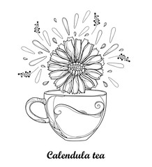 Vector drawing of contour cup of Calendula officinalis herbal tea with petals and flower in black isolated on white background. Outline medical plant Calendula for herbal design or coloring book.