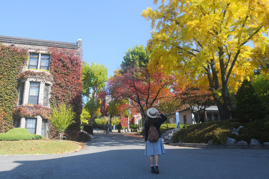 Tourist is visiting at Yonsei University during autumn in Seoul, Korea.