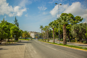 south country vivid landmark street view with car road and palms near tropic Mediterranean sea in hot summer colorful bright weather 