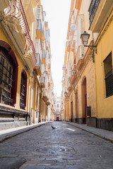 Fototapeta na wymiar Calle amarilla en Cadiz, Andalucia, España