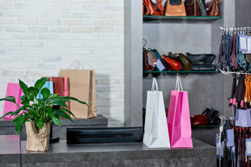 paper bags and green potted plant in shop