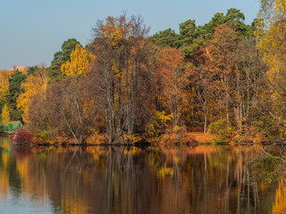 Autumn by the lake