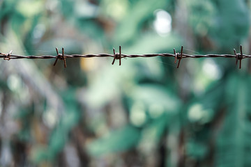 Old rusty barbed fence with green garden, outdoor brake background closed up.