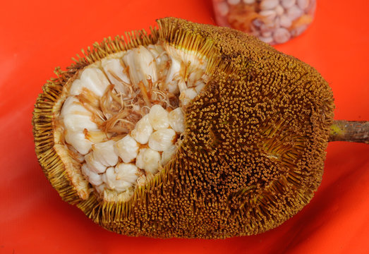 Tarap fruit is a exotic tropical fruit normally grow in Borneo Malaysia. Scientific name is Artocarpus odoratissimus