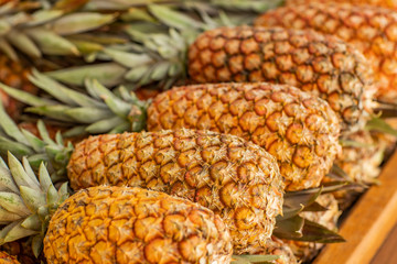 Pineapple sold in the market. Pineapple sold in the fruit market. Pineapples are harvested from the...