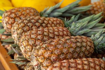 Pineapple sold in the market. Pineapple sold in the fruit market. Pineapples are harvested from the farm were piled up waiting to be sold. 
