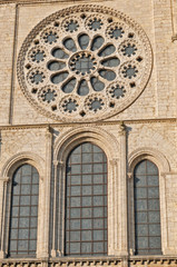 Chartres, la cattedrale di Notre Dame - Francia