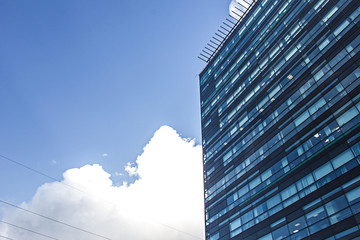 Naklejka premium Skyscrapers in the city