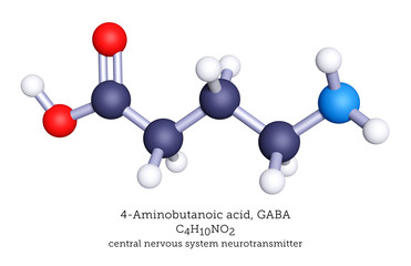 Molecular model of the neurotransmitter GABA