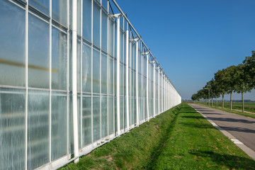 Perspective view of industrial glass greenhouses in the Netehrlands.