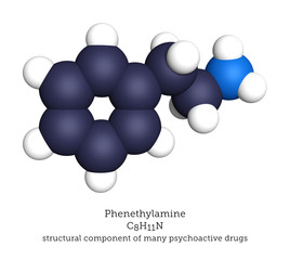 Phenethylamine shown as a space-filling molecular model