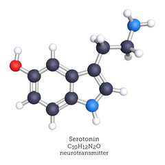 Serotonin neurotransmitter shown as a molecular model