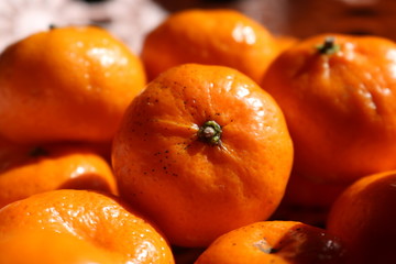 Orange,fruit, tree, background