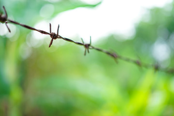 Old rusty barbed fence with green garden, outdoor brake background closed up.