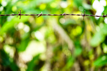Old rusty barbed fence with green garden, outdoor brake background closed up.