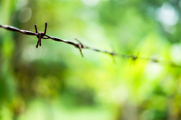 Old rusty barbed fence with green garden, outdoor brake background closed up.
