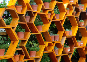 Flowers planted in small plastic pots and placed on wooden hexagonal shelves. 