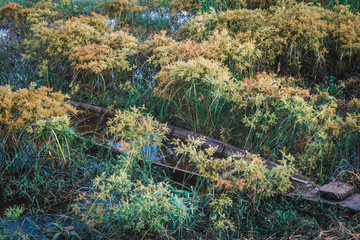  Old fishing boat with beautiful natural scenery