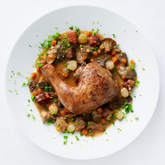 chicken, vegetables, mushrooms, and brisket stewed in red wine then reduced into a gravy sauce decorated with parsley