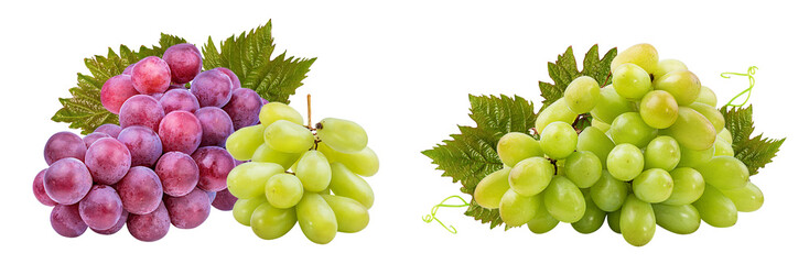 Fresh grapes isolated on white background with clipping pass
