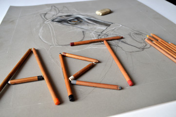 Artistic drawing of a horse eye made with pastel crayons