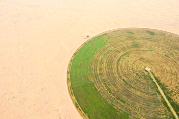 Fototapeta na wymiar Circular green irrigation patches for agriculture in the desert. Dubai, UAE.