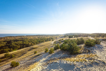 beautiful view of the protected area near the sea, Curonian Spit National Park