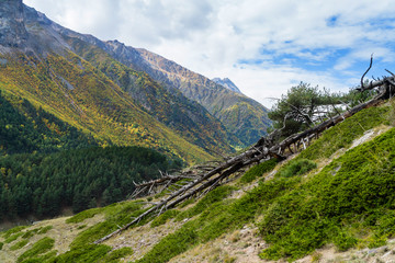 Fototapeta na wymiar Landscape view of Caucasus mountains