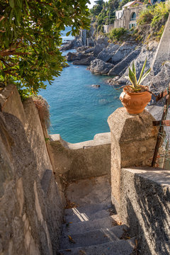 Walking in Bogliasco