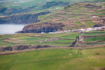 Fototapeta na wymiar São Miguel Açores Portugal