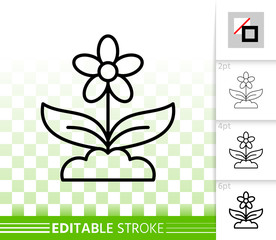 Flower simple black line vector icon