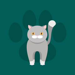 Grey cat with yellow eyes. Vector flat pet. Paw mark.