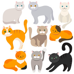 Cat. Set of flat cartoon icons. Vector.